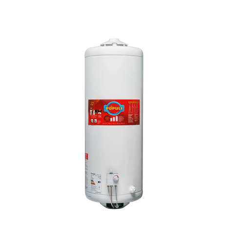 Termotanque Ecotermo a Gas POPULI 100 Lts GN