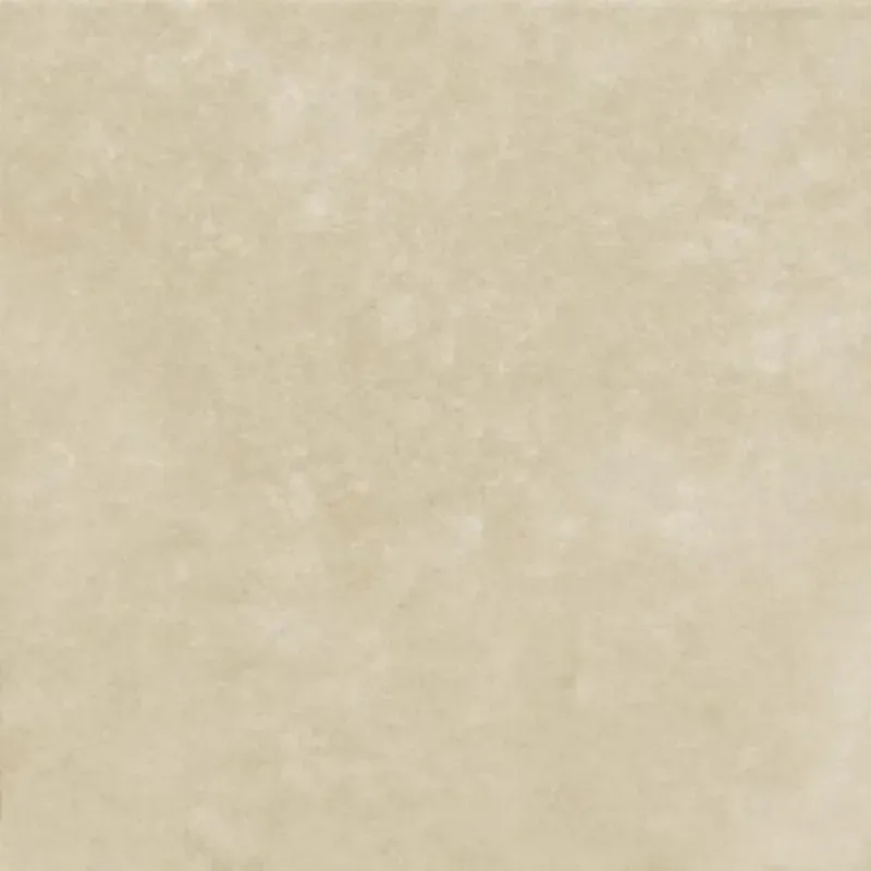 1009145.webp